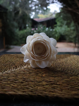 Shola Multi-design Flowers Set