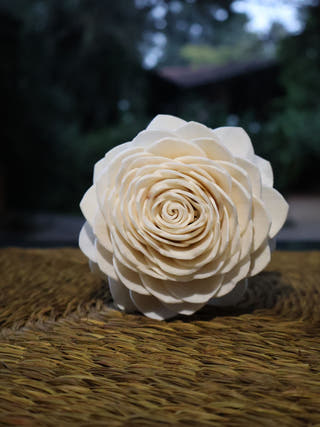 Shola Multi-design Flowers Set