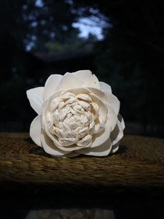 Shola Multi-design Flowers Set