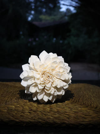 Shola Multi-design Flowers Set