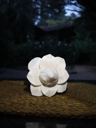 Shola Multi-design Flowers Set