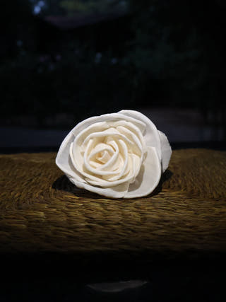 Shola Multi-design Flowers Set