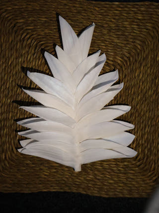 Shola Multi-design Flowers Set