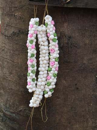 Shola Gajra | Set of 3