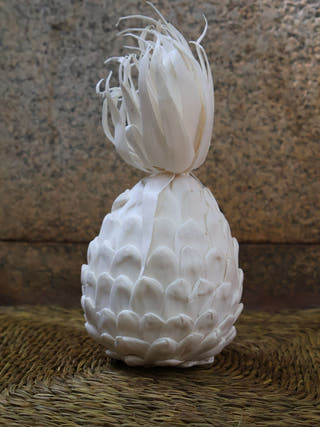 Shola Pineapple Art | Set of 2