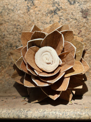 Shola Lotus Flower | Set of 2