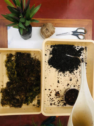 Kokedama Learning Kit