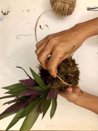 Kokedama Learning Kit