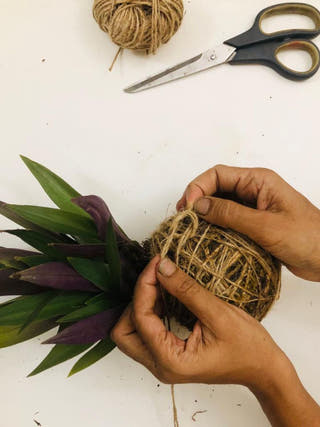 Kokedama Learning Kit