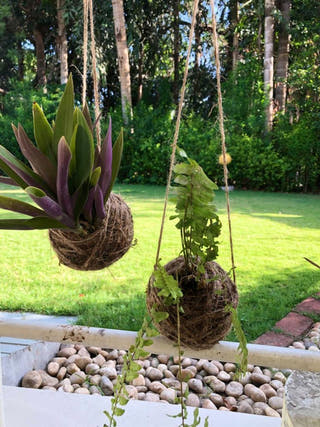 Kokedama Learning Kit