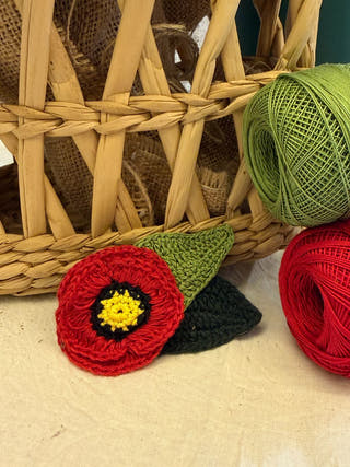 Poppy Hair Clip
