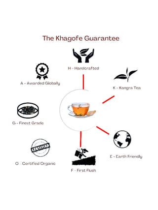 PuriTEA & ImmuniTEA | Combo Pack of 2