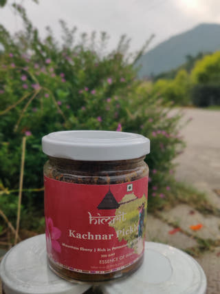 Kachnar (Mountain Ebony Buds) Pickle