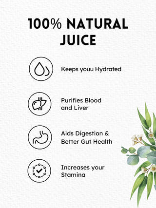 Lemon Ginger Mint Concentrate