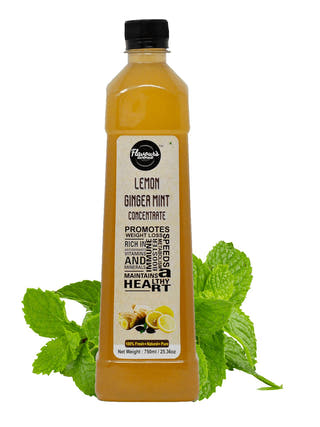 Lemon Ginger Mint Concentrate