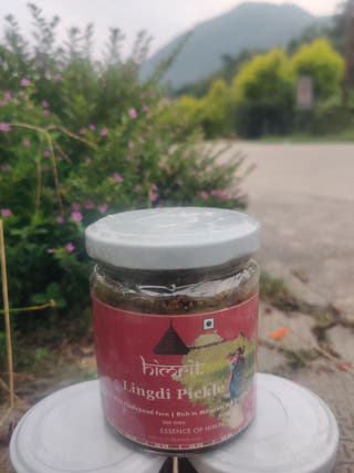 Lingdi (Fiddlehead Ferns) Pickle