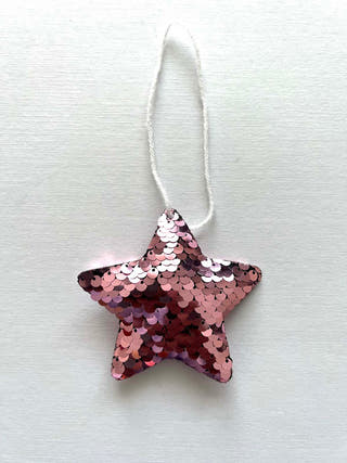 Little Star Christmas Ornament Little Canvas 