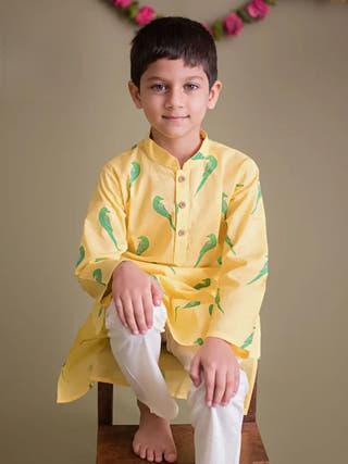Tiya A Parrot Ethnic Wear Kurta Set