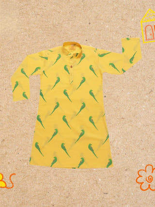 Tiya A Parrot Ethnic Wear Kurta Set