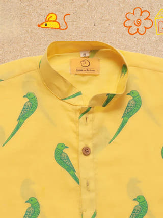 Tiya A Parrot Ethnic Wear Kurta Set