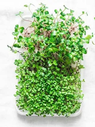 Baithe Baithe Kya Karen Learning Kit