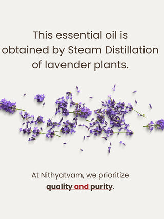 Lavender Essential Oil Nithyatvam