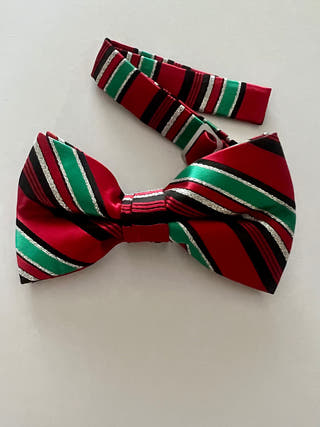 Christmas Bow Tie : Rudolph Little Canvas 