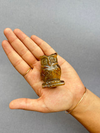 Tiger Eye Owl