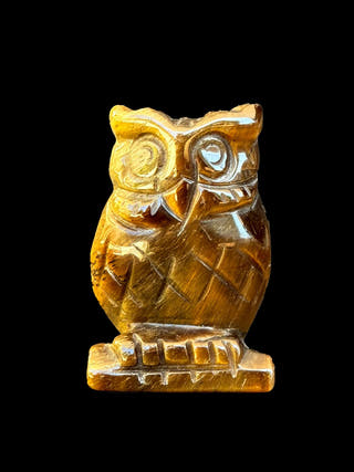 Tiger Eye Owl
