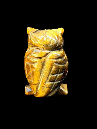 Tiger Eye Owl
