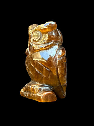 Tiger Eye Owl