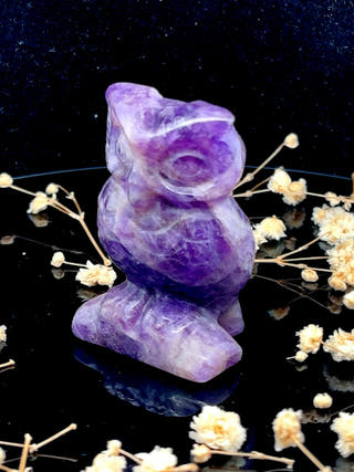 Amethyst Owl