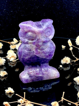 Amethyst Owl