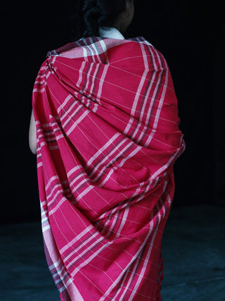 Plain Stripe Sari Red