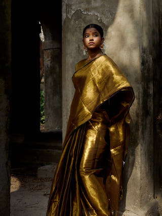 Shikhara Gold Tissue Saree