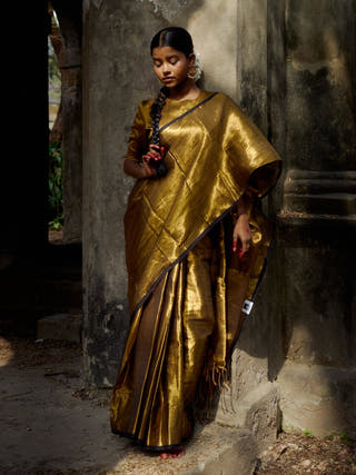 Shikhara Gold Tissue Saree