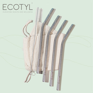 Stainless Steel Straw Bent with Cleaning Brush  Set of 4 Reusable Straws Ecotyl