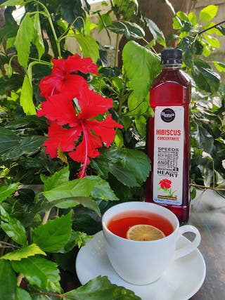 Hibiscus Concentrate
