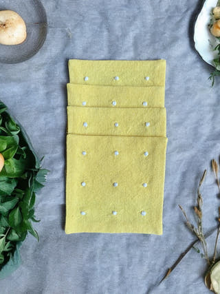 Anthophile Coasters (Set of 2)