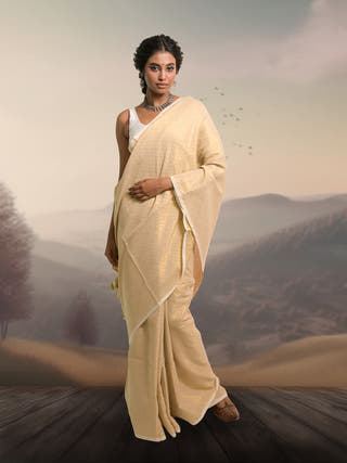 Chandni Raagvory Handloom Cotton Brocade Saree