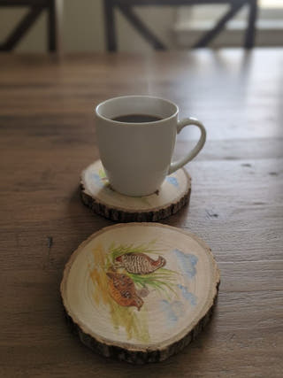 Gauraiya Coasters