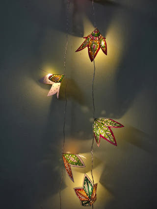 Flowers Fairy Lights Tholu Bommalata