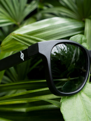 Standard Black Lenses Medium Wayfarers Without