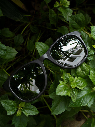 Standard Black Lenses Medium Wayfarers Without