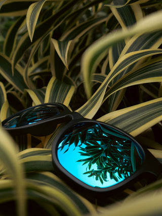 Blue Mirrored Large Wayfarers Without