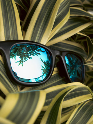 Blue Mirrored Large Wayfarers Without