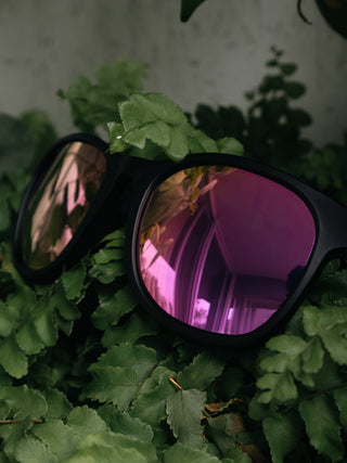 Pink Mirrored Large Wayfarers Without