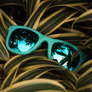 Blue Mirrored Medium Wayfarers Without