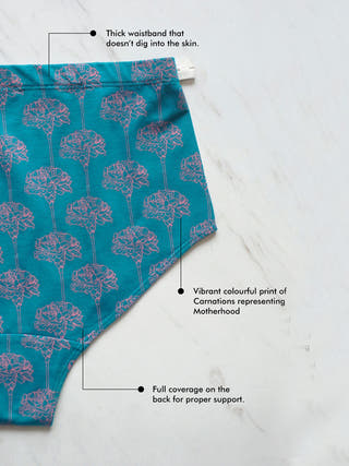 Carnation Maternity Brief Teal Wear Equal