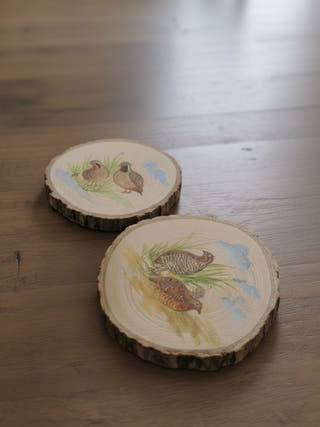 Gauraiya Coasters